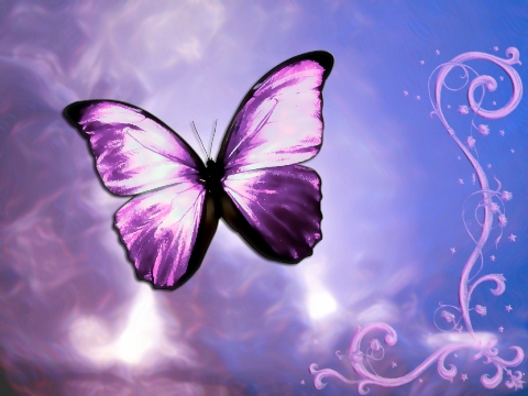 Free Blogspot Backgrounds on Free Butterfly Backgrounds